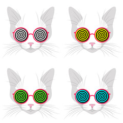 Cat faces with trendy sunglasses with spiral hypnosis line pattern