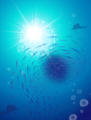 魚の群れ　フィッシュトルネード