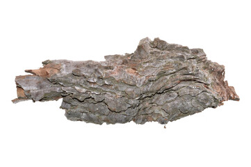 tree bark isolated on white background