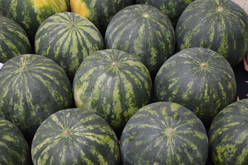 Melonenauslage