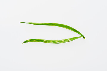 common bean,Green beans,さやいんげん