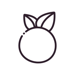 Isolated orange fruit line style icon vector design