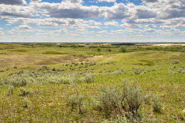 Landscape of the Great Sandhills near the town of Leader, Saskatchewan, Canada