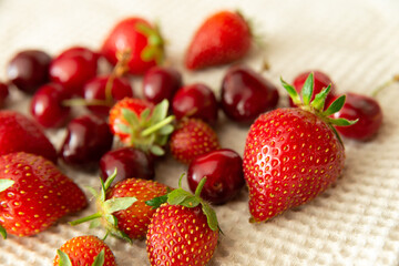 Fraises et cerises fraîchement cueillies et lavées séchant sur un torchon