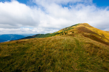 alpine meadow in weathered grass in autumn.  beautiful nature scenery in mountains. steep summit in the distance. ridge on the horizon. colorful landscape in dappled light with cloudy sky