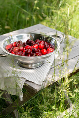 Cerises cueillies dans un récipient argenté sur une petite table en bois dans un champ d'herbes hautes