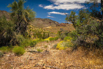 This is a view of the mountains, clouds, wildflowers, and the beautiful desert of the Burro Creek Wilderness area in Arizona.