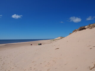 Family vacation on the beach