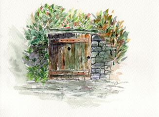 Watercolor  illustration of an old stone fense with wooden gate and green plants