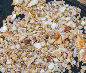 close up of a lot of oyester shells at puri sea beach