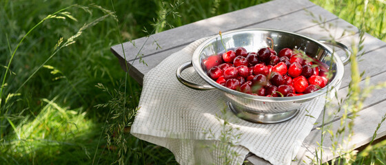 Bannière de cerises cueillies et posées dans une passoire sur une table dans un champ