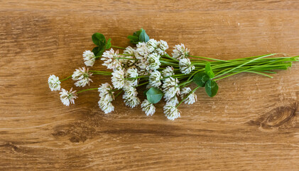 Obraz premium A simple white clover (Trifolium repens) bouquet on a wooden imitation laminate table