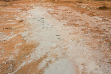 Salty soil