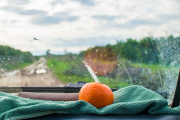 Orange sitting on a green towel at the dashboard of a farmer's truck at an orange orchard