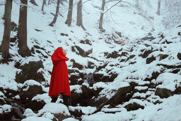 Red hooded woman in a snowy forest