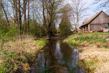 Wiosna w Dolinie Górnej Narwi, Podlasie, Polska © podlaski49