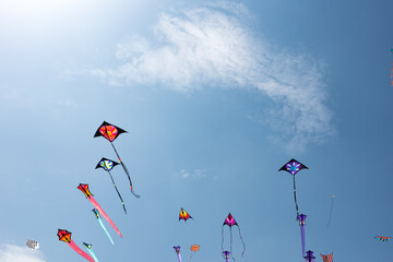 Kites with blue sky and white clouds