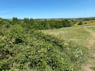 Fototapeta na wymiar Landscape with bushes and meadow near, Allerton, Bradford, UK