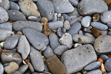 Rocks of many colors and sizes by the sea.