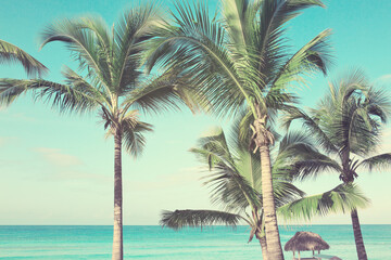 Caribbean sea and palm trees.