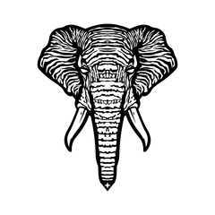 black and white vector elephant head