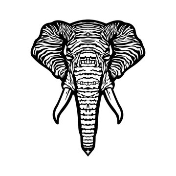 black and white vector elephant head