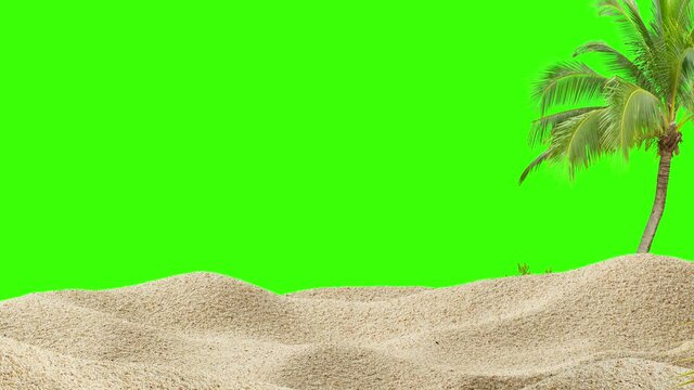 Zoom in sand and palm tree