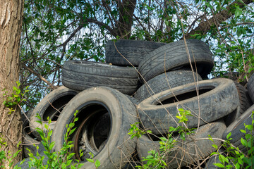Tires old dump in the forest. Old tires pollute the nature. Environmental pollution. Ecology...