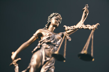 Law, legal, judge, lady justice concept