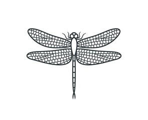 Dragonfly outline. Isolated dragonfly on white background