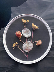 Handmade Embroidery with Dried Flowers and withered herbs on mesh fabric, grid, tulle, round hoop  