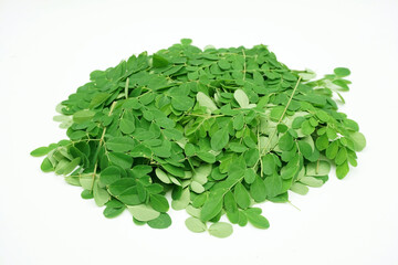Obraz na płótnie Canvas Moringa leaf isolated on white, super food for health.