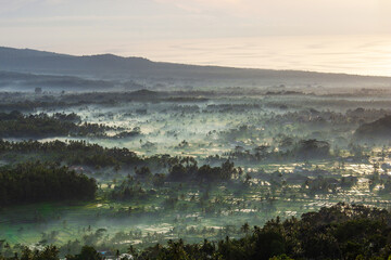 Beautiful tropic forest in the fog