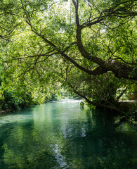 Hermon springs river in the summer.