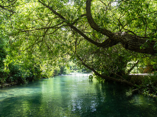 Hermon springs river in the summer.