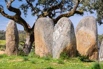 cromlech Vale Maria do Meio , Nossa Senhora da Graça do Divor ,Évora, Alentejo, Portugal © Tolo