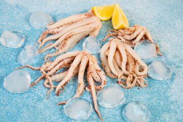 Fresh raw squid tentacles with ice on a blue concrete background