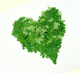 Obraz premium Moringa leaves in the shape of a heart. symbols and illustrations to maintain health. vegetable lover symbols.