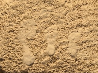 Sandy Feet