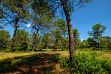 Sa Comuna, Lloret de Vistalegre, ​ también conocido como Llorito,  situado en el centro geográfico de la isla de Mallorca, balearic islands, Spain