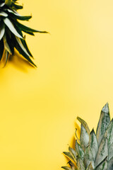 Fototapeta na wymiar selective focus of green pineapple leaves on yellow background