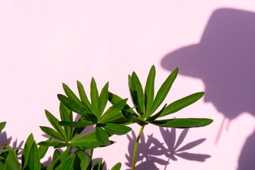 Woman in hat shadow and leaves.