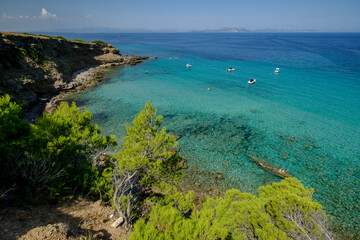Obraz premium Arenalet de na Clara, Artà, peninsula de Llevant, Mallorca, balearic islands, Spain