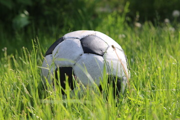 Ball in the  grass