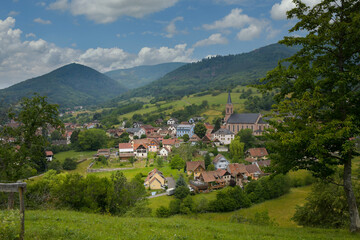 Fototapeta na wymiar Breitenbach im Val de Villé im Elsass