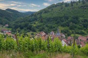 Naklejka premium Landschaft bei Albé im Val de Villé im Elsass