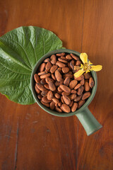 Obraz na płótnie Canvas Cacao