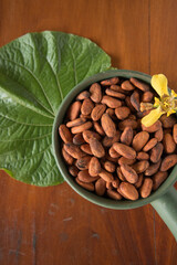 Cacao
