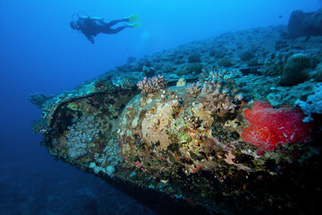 Naklejka na ściany i meble Diver explores Wreck of the Salem Express. Red sea, Egypt. 