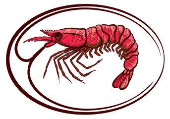 tiger prawn isolated vector illustration